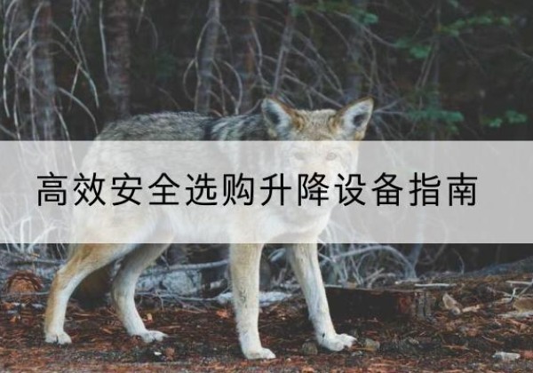 秭归升降货梯厂家推荐-*安全选购升降设备指南