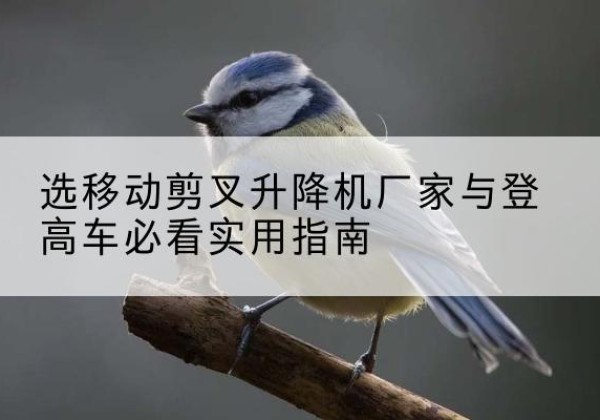 秭归电动升降机厂家-选移动剪叉升降机厂家与登高车必看实用指南